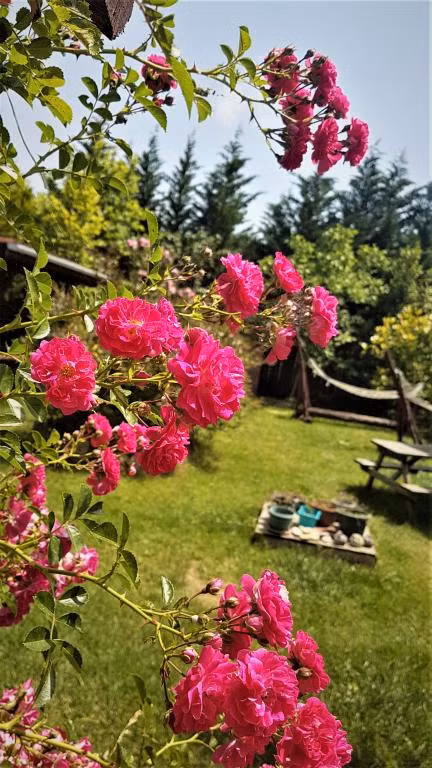 Ağva Himalaya Motel — 4
