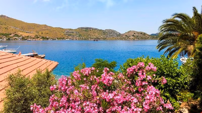 Taşdelen Selimiye