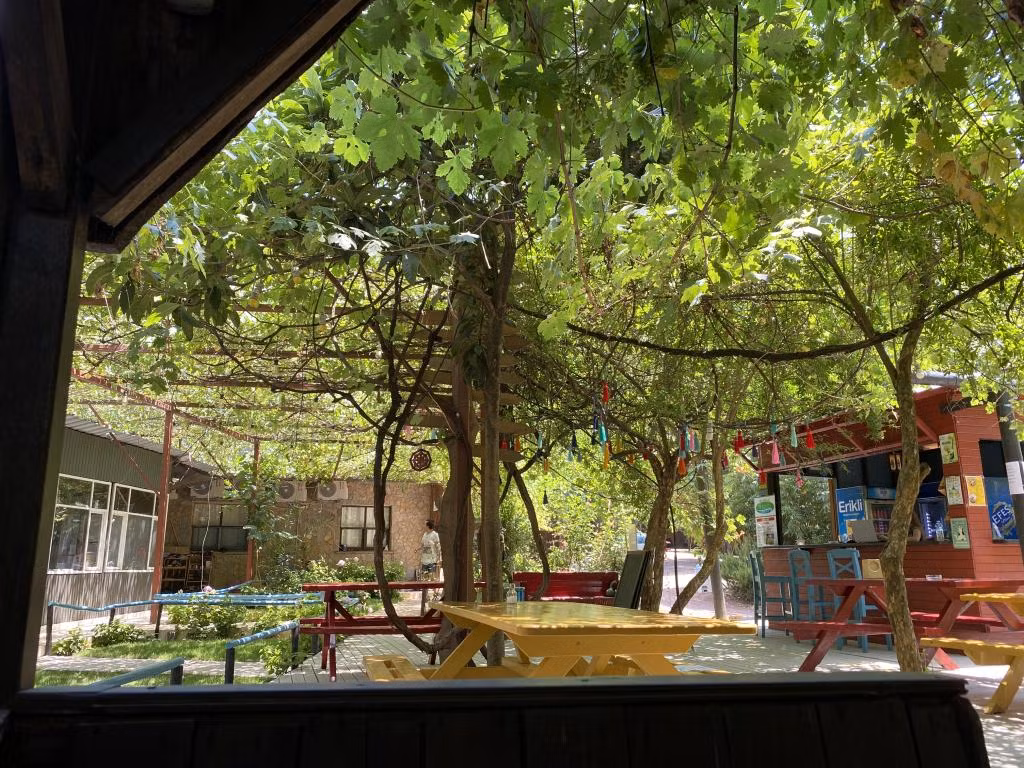 Olympos Çamlık Pansiyon +16 — 9