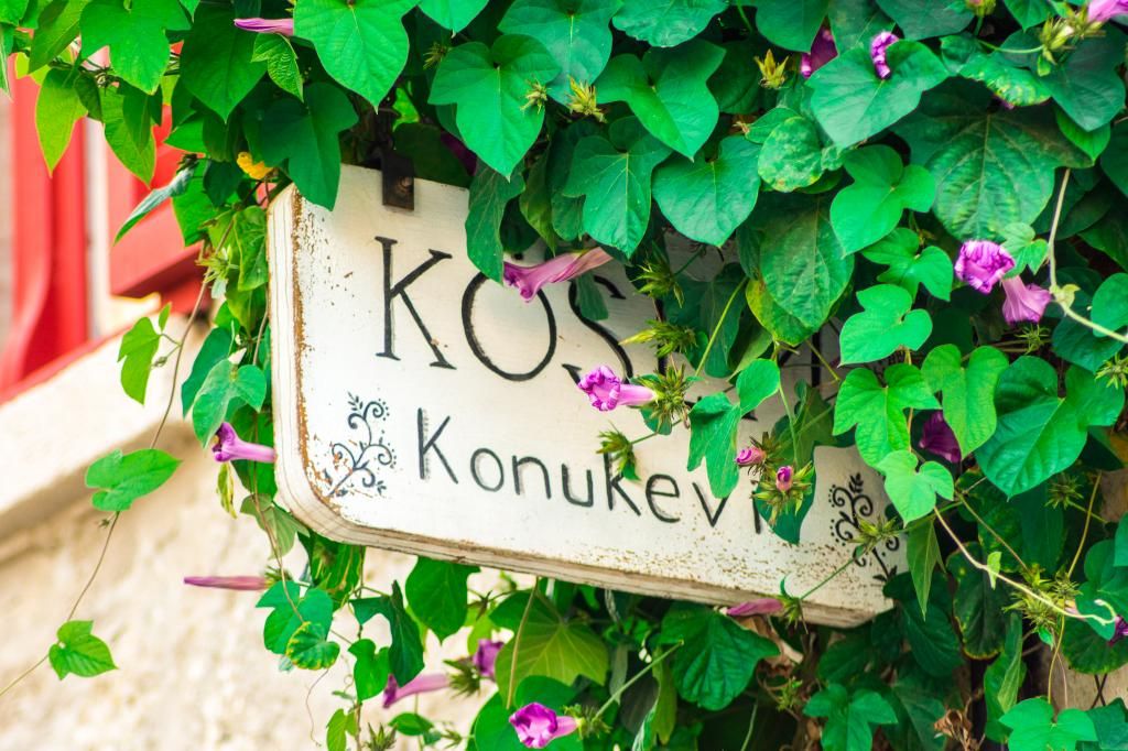 Köşem Konuk Evi — 3