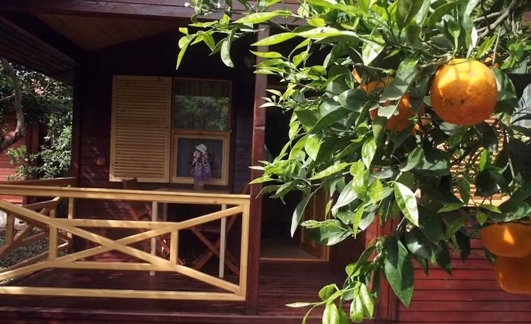 Mercan Bungalow — 8