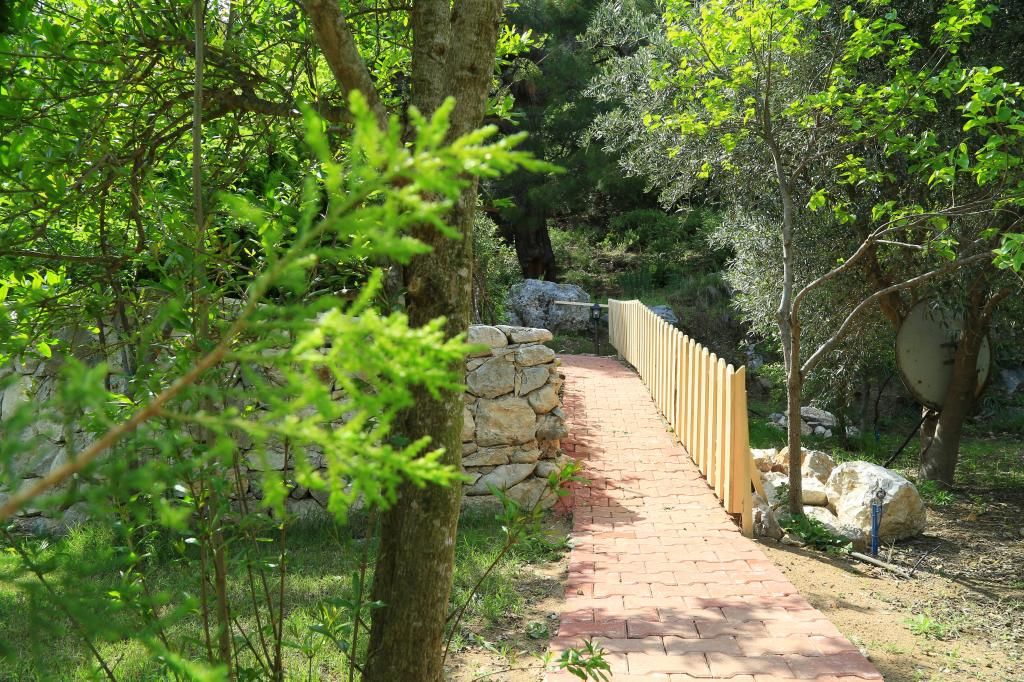 Villa Zeytin Çıralı — 4