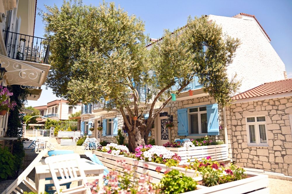 Zeytin Arası  Taş Evler — 3