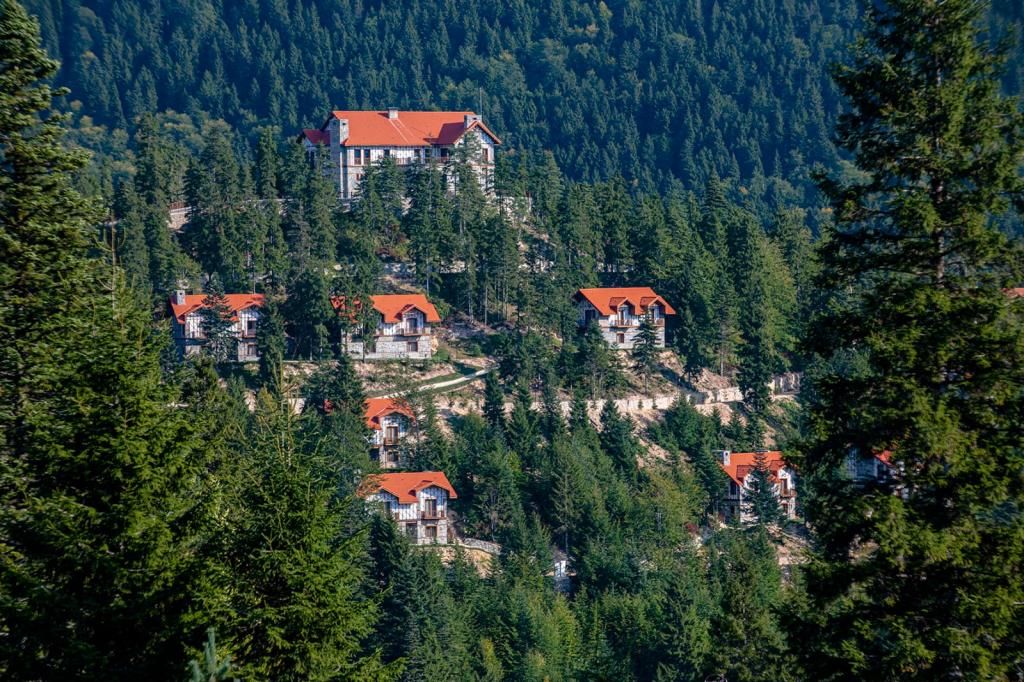 Foleya Mountain Resort