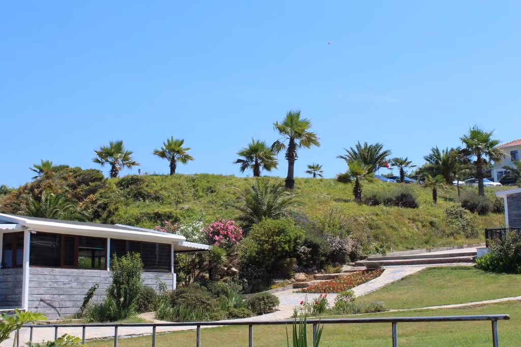 Palm Beach Şile — 6