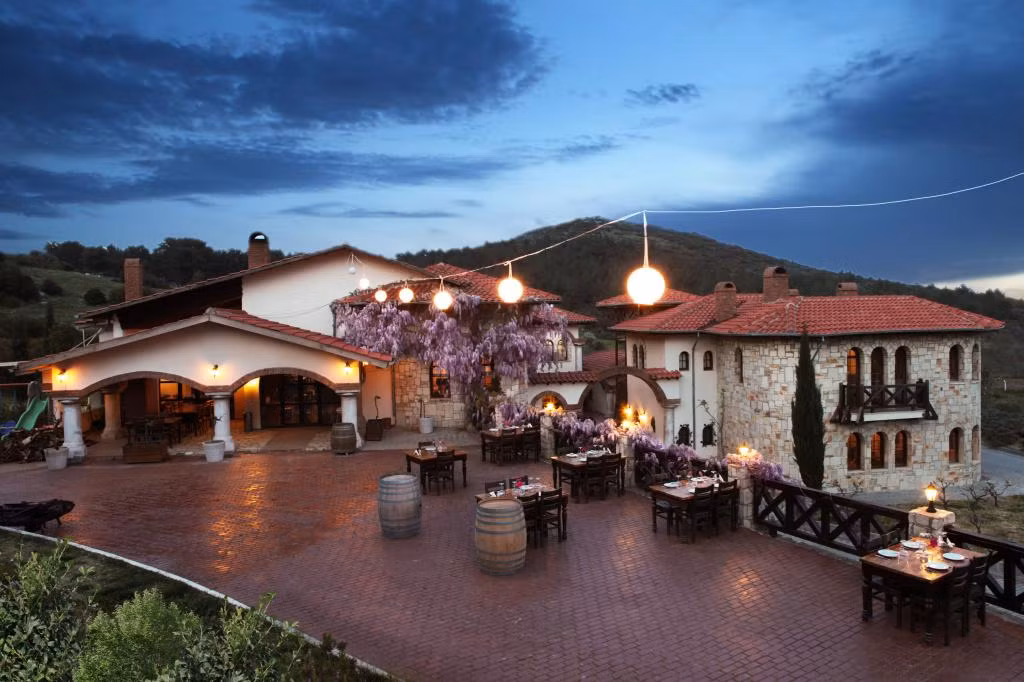 Vinifera Hotel Yedi Bilgeler Vineyards  — 8