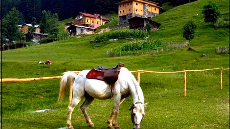Kaçkar Resort Hotel — 3