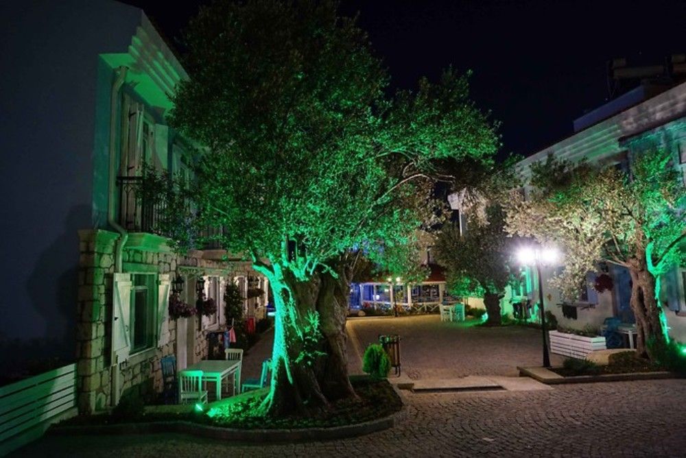 Zeytin Arası  Taş Evler — 5