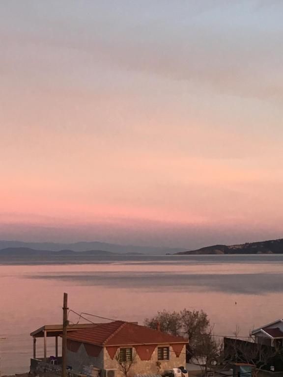 Palmiye Karaburun — 5