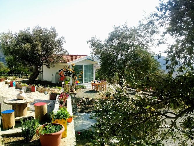Mavi Kelebek Datça — 6
