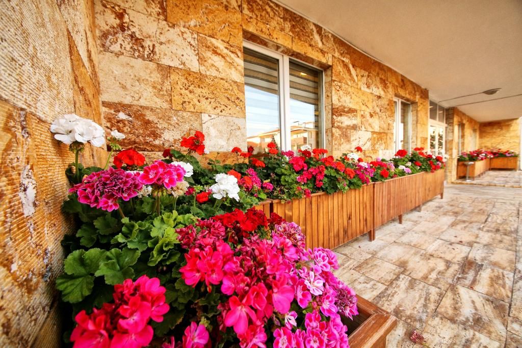 Safran Germia Palas — 8