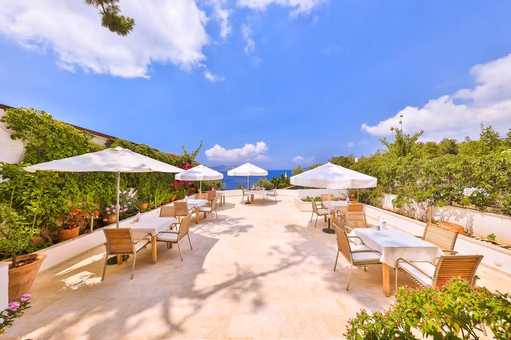 Gardenia Hotel — 7