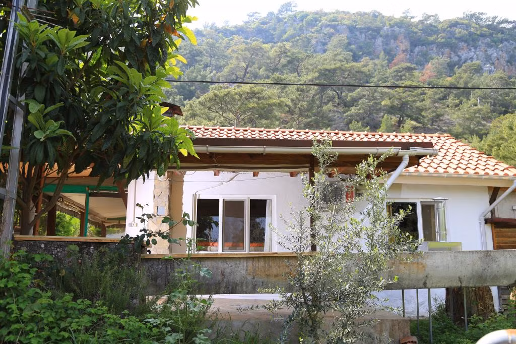 Villa Zeytin Çıralı — 3