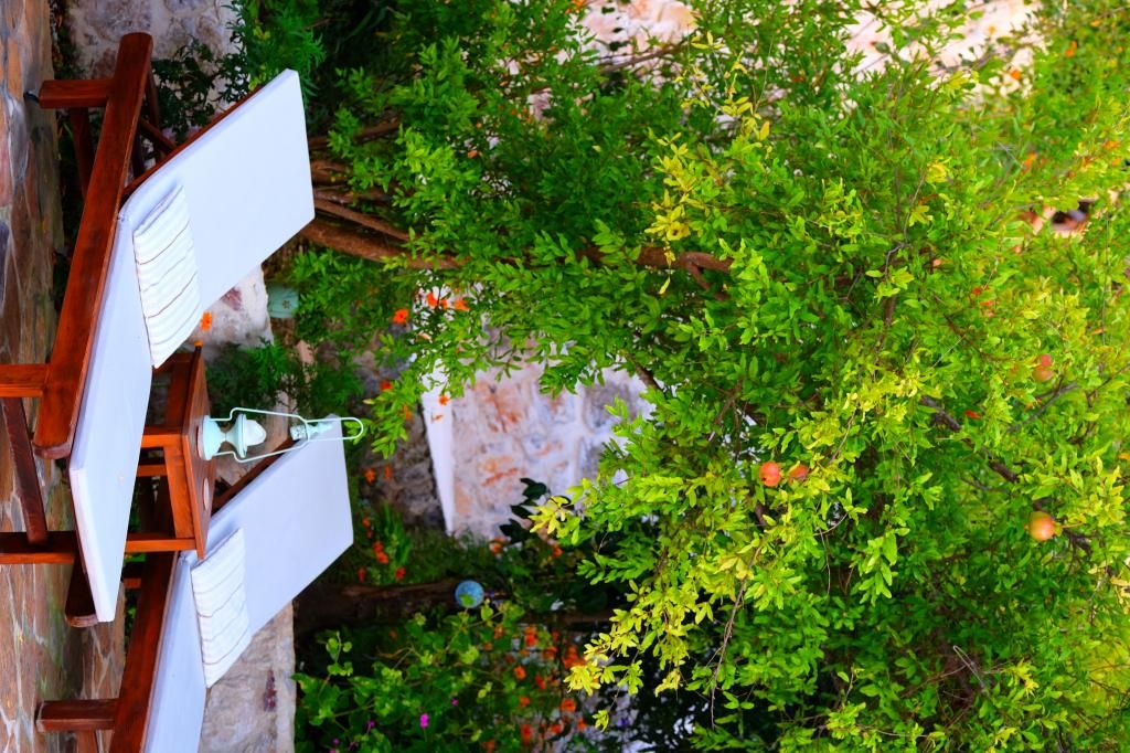 Mandarin & Mango Boutique Hotel — 8