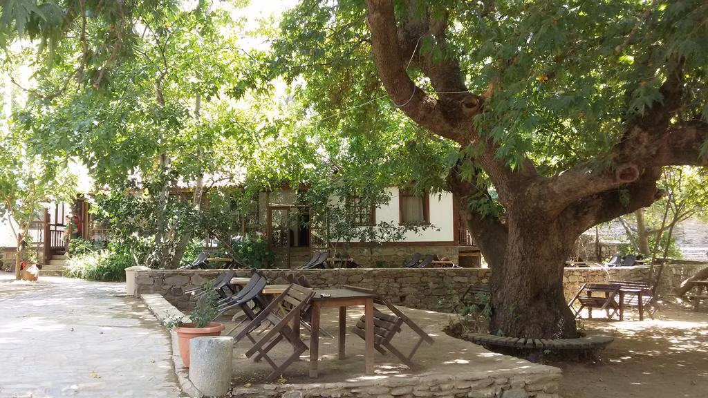 Birgi Çınaraltı Pansiyon — 5