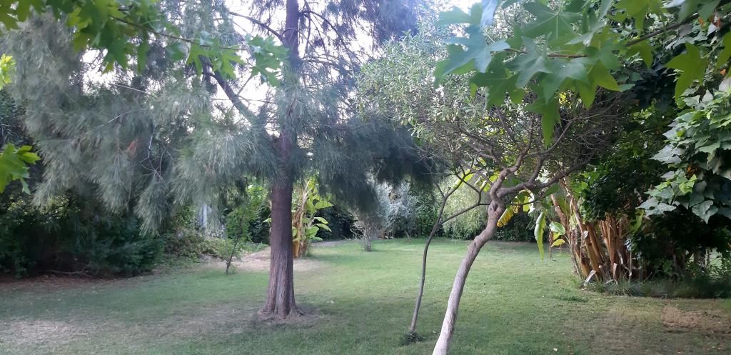 Mesudiye Villa White Apart Otel — 2