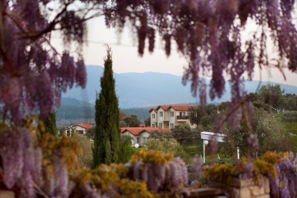 Vinifera Hotel Yedi Bilgeler Vineyards  — 4