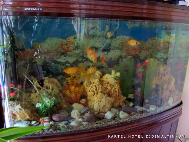 Kartel Hotel Didim — 7