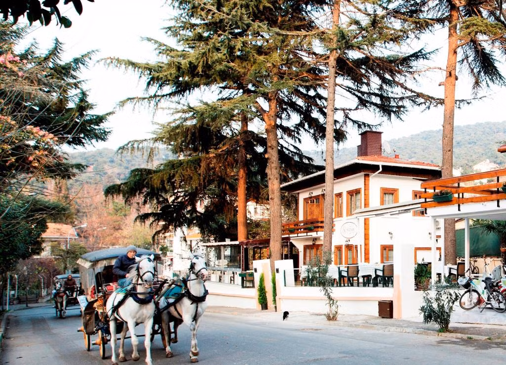 Nizam Butik Otel Büyükada — 4