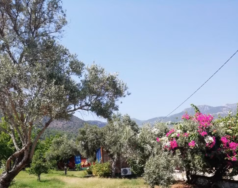 Bahar Bahçe Datça — 9