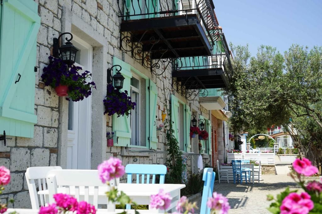 Zeytin Arası  Taş Evler — 9
