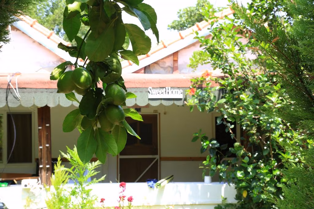 Villa Zeytin Çıralı — 6