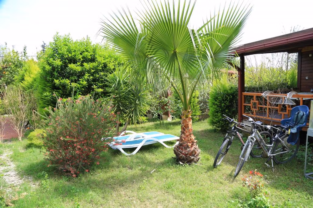 Villa Zeytin Çıralı — 7