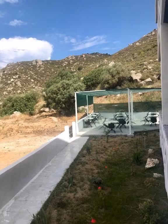 Avşa Denizatı — 8