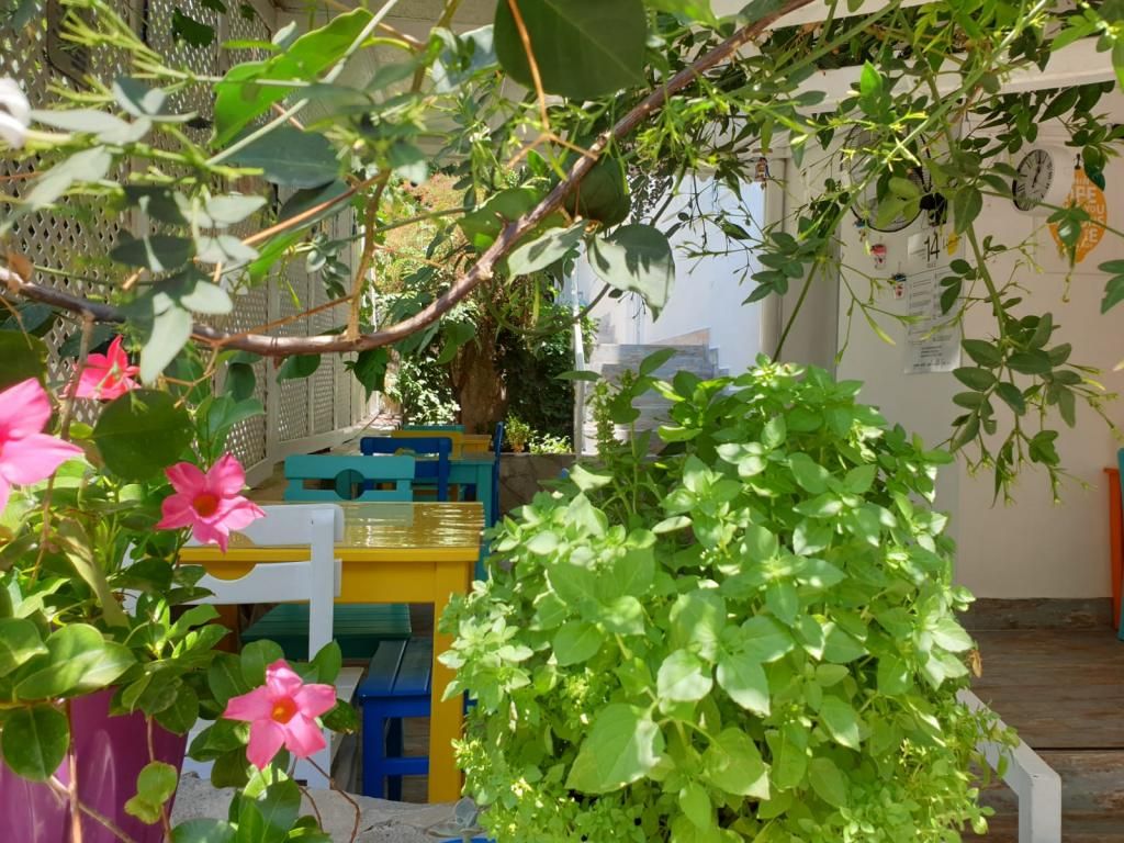 Limon Pansiyon Kaş — 4
