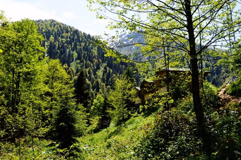 Kardelen Pansiyon — 8