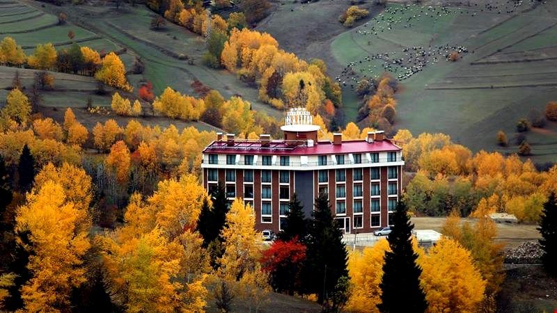 Black Forest Hotel  — 2