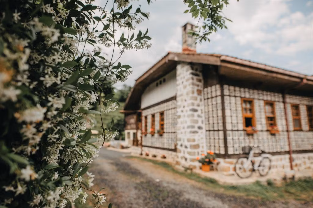 Babalık Doğal Yaşam Konağı — 3