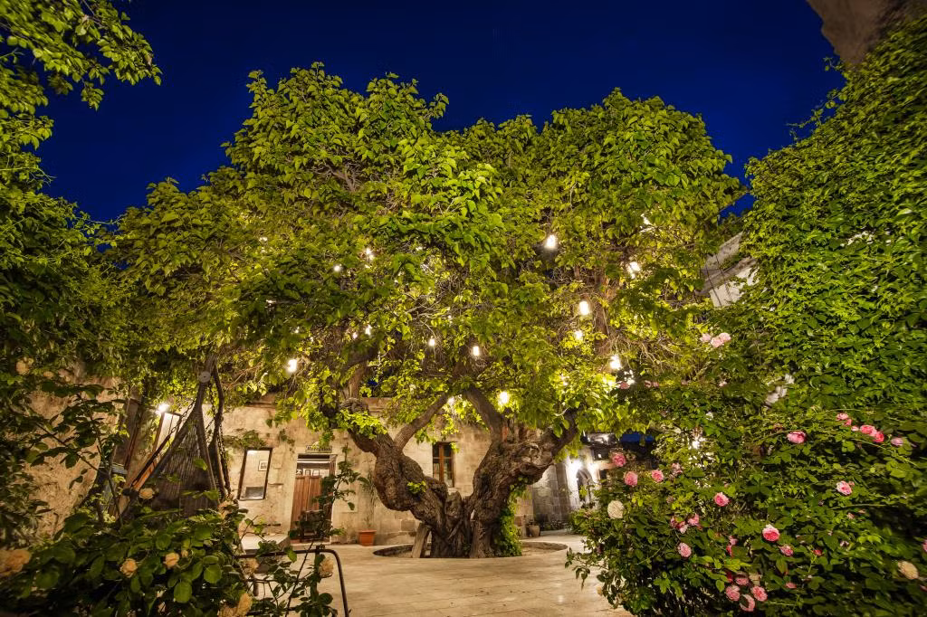 Dervish Cave House — 9