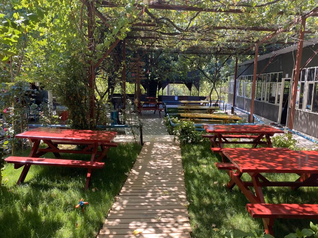 Olympos Çamlık Pansiyon +16 — 7
