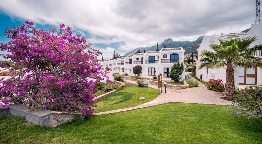The Olive Tree Hotel — 6