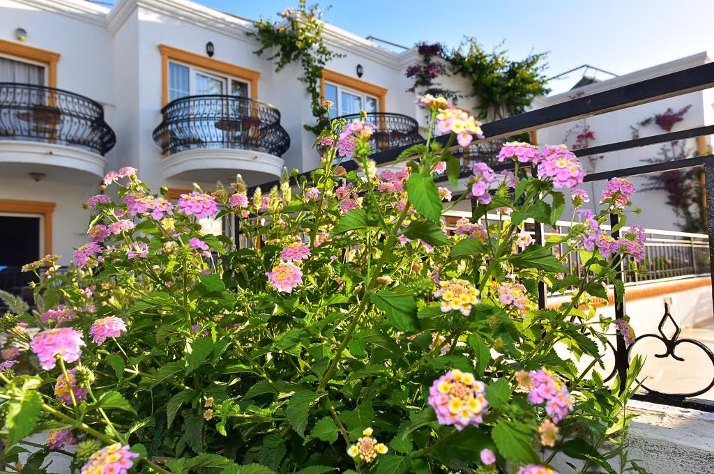 Tropicana Beach Hotel — 2