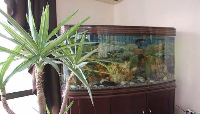 Kartel Hotel Didim — 6