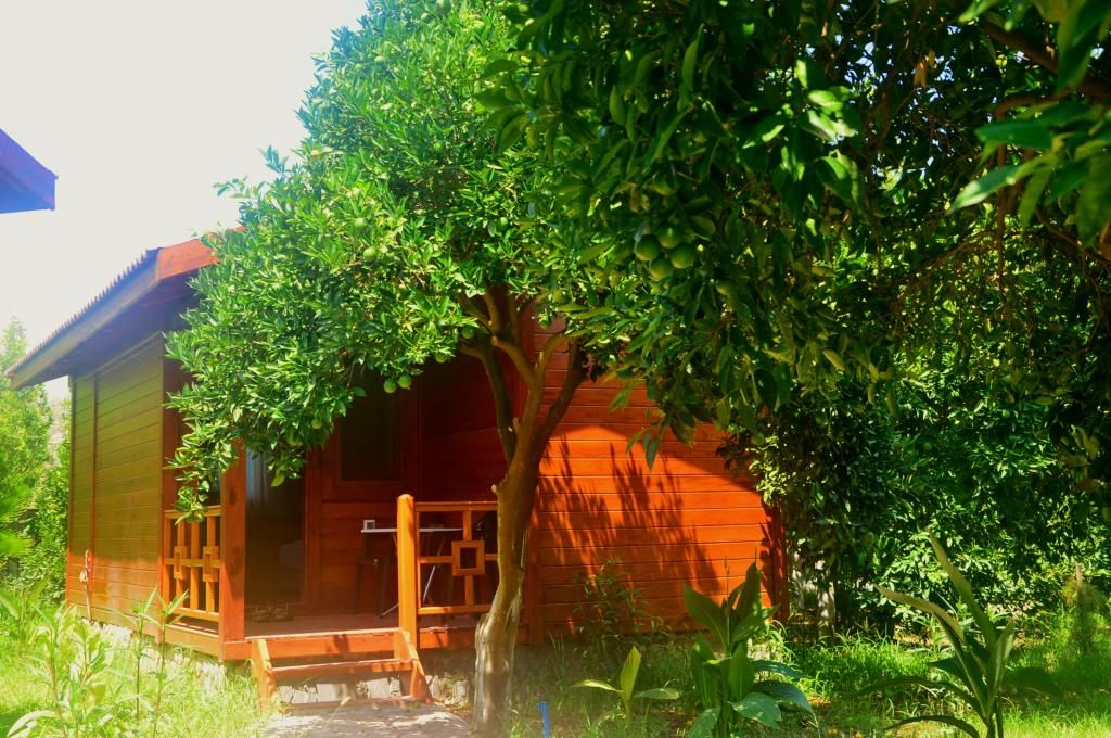 Safir Pansiyon — 8