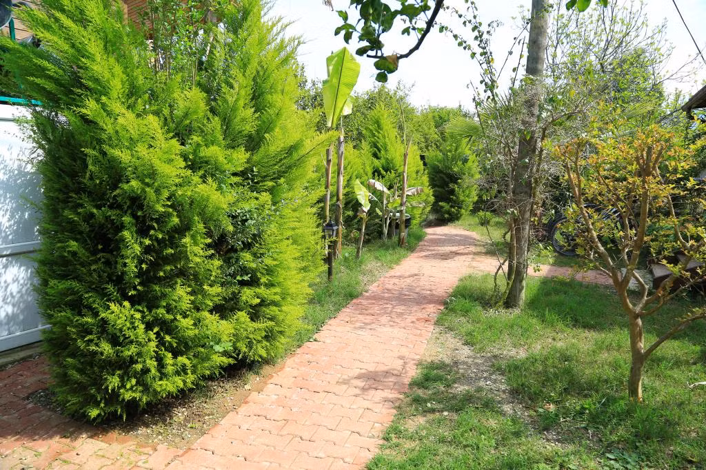Villa Zeytin Çıralı — 8