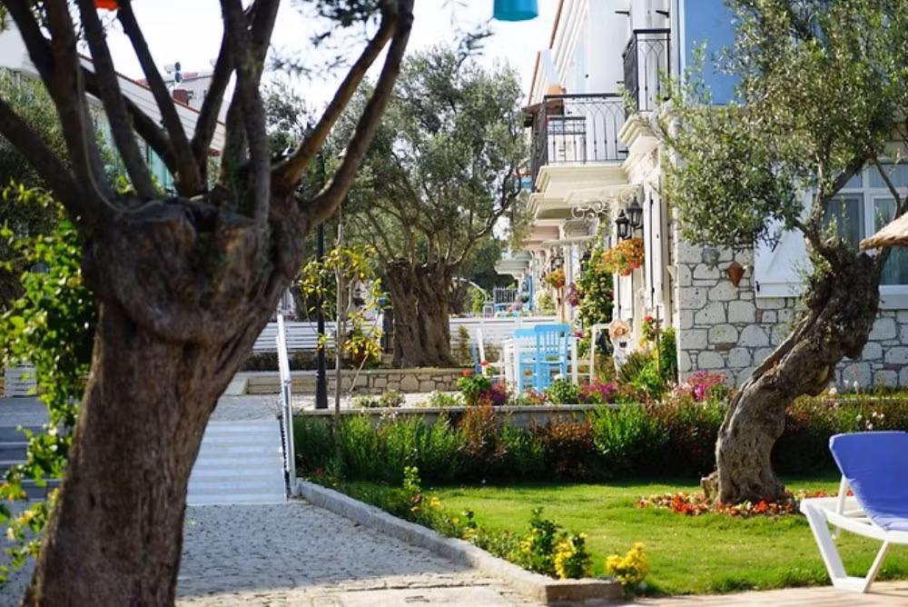 Zeytin Arası  Taş Evler — 6