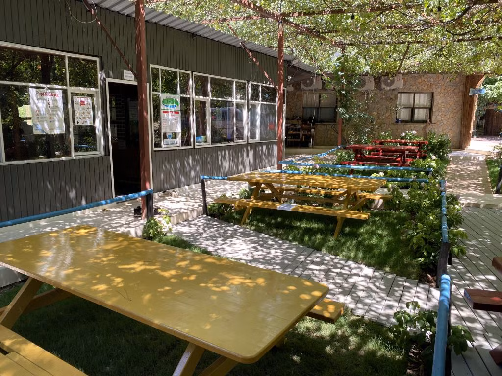Olympos Çamlık Pansiyon +16 — 5