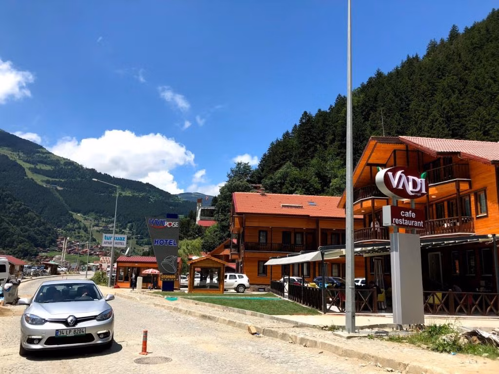 Hayat Rose Hotel — 4