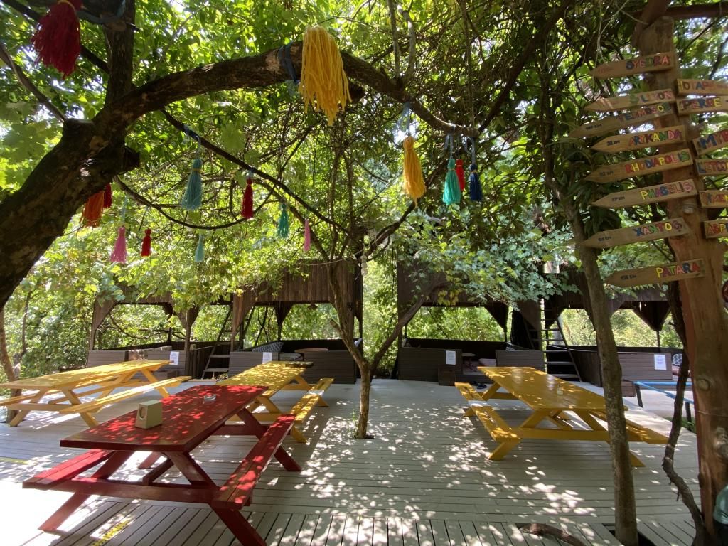 Olympos Çamlık Pansiyon +16 — 3