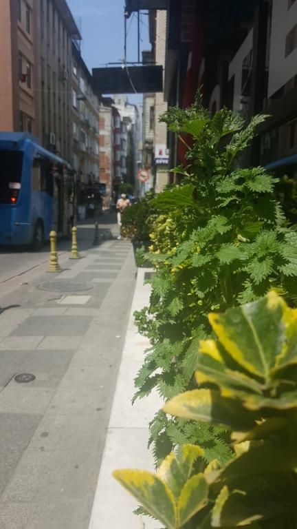 Ayyıldızlar Pansiyon — 5