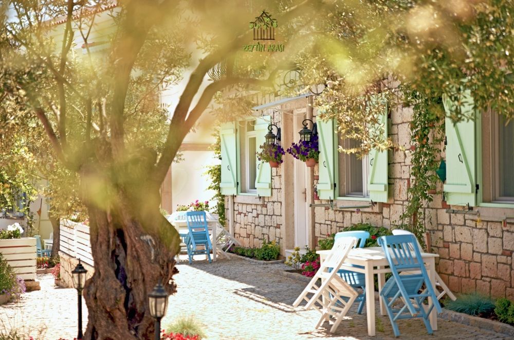 Zeytin Arası  Taş Evler — 2