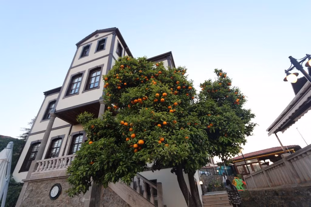 Mehmet Efendi Konağı Otel Cafe Restorant — 4