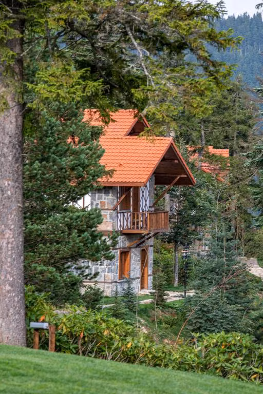 Foleya Mountain Resort — 3