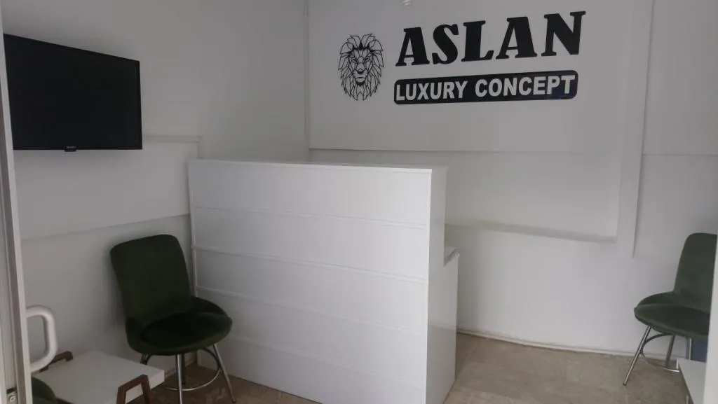 Aslan Luxury Concept — 2