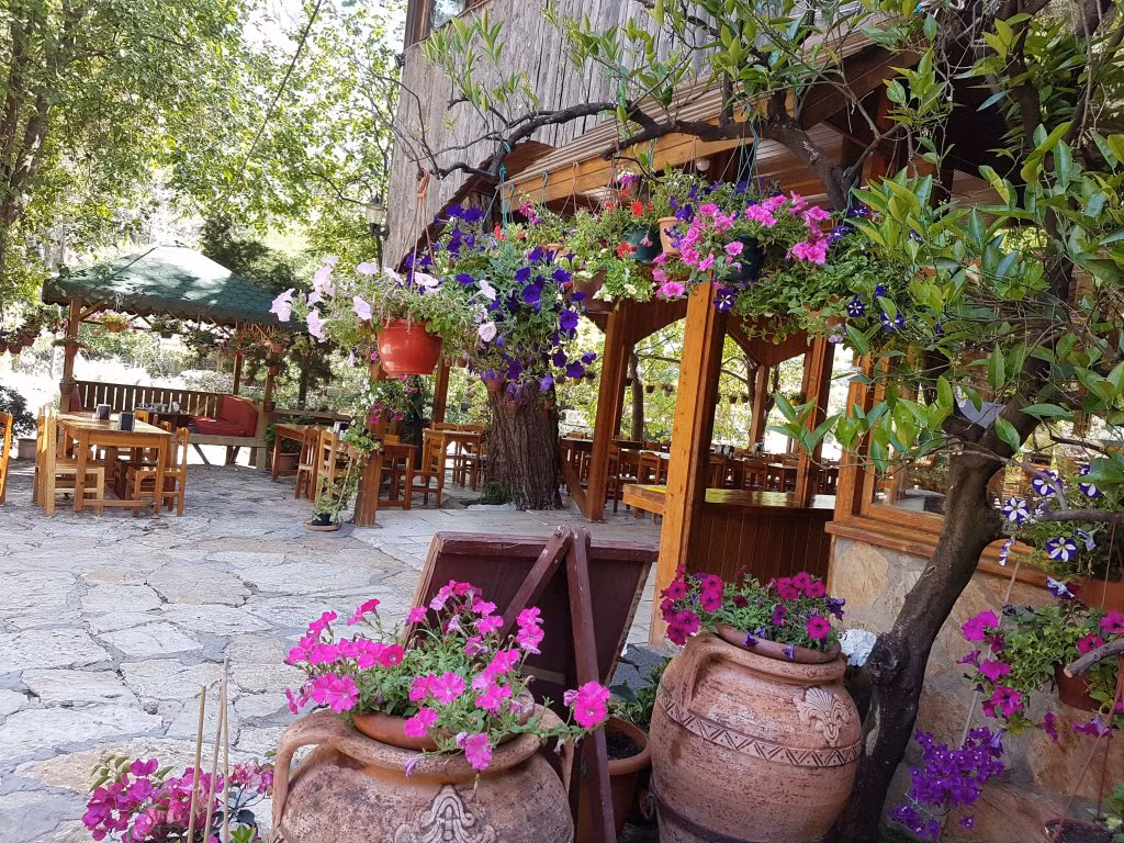 Türkmen Ağaç Evleri — 8