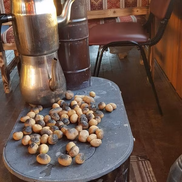 Emirbey Atlı Turizm Doğal Yaşam Köyü — 9